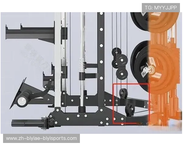 高档健身器材的优势与选择：选择高端设备的好处与购买建议