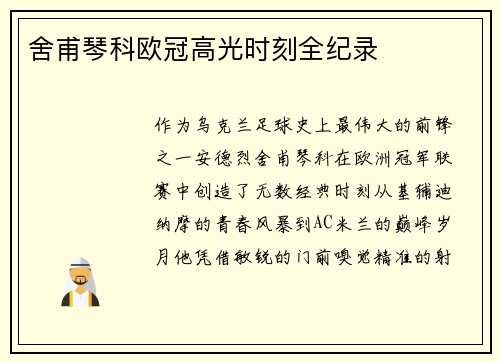 舍甫琴科欧冠高光时刻全纪录
